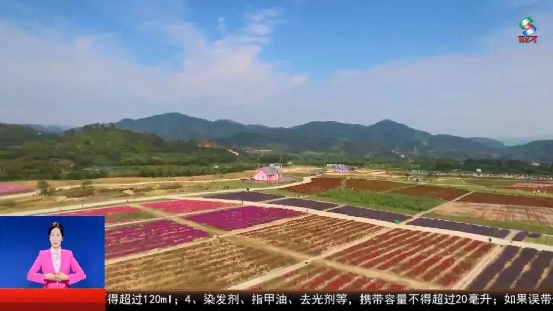 bsports官网庆祝新中国成立70周年｜ 从“弯腰割稻”到“科技农业” 感受农(图1)