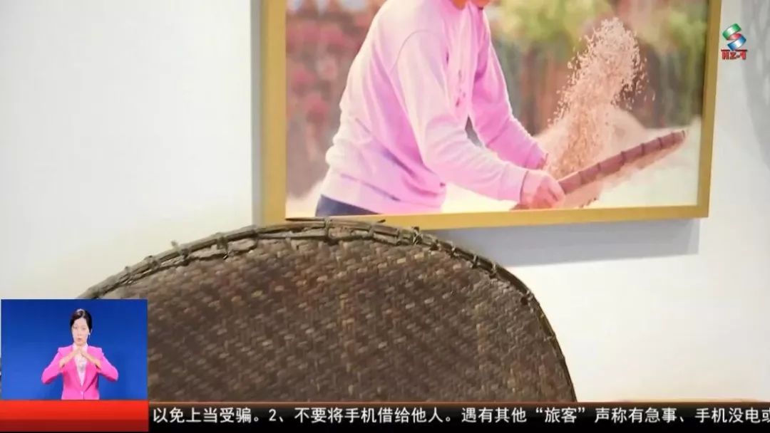 bsports官网庆祝新中国成立70周年｜ 从“弯腰割稻”到“科技农业” 感受农(图11)